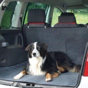 Proteção Interior Carros P/ Cães